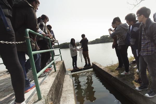 Field Sampling