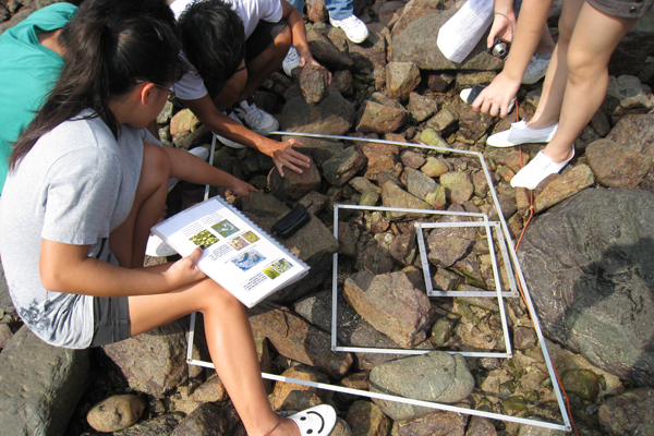 Field Study Rocky Shore